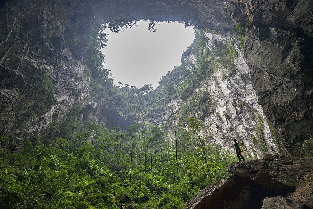Botanic Time: cueva de Son doong