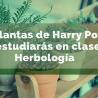 Las plantas de Harry Potter que estudiarás en la clase de Herbología