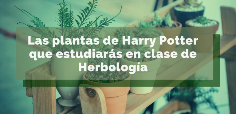 Plantas de Harry Potter